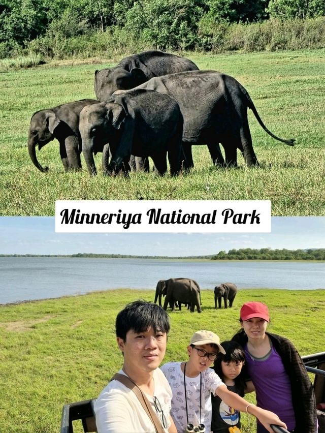 🇱🇰 Two UNESCO World Heritage Sites You Should Not Miss in Sri Lanka 