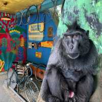 倫敦動物園：保存完好、有趣圍欄，豐富資訊