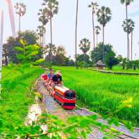 นั่งรถไฟชมวิวทุ่งนาข้าวบรรยากาศสุดชิว