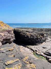 Pebbles and Low tide