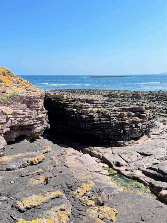 Pebbles and Low tide
