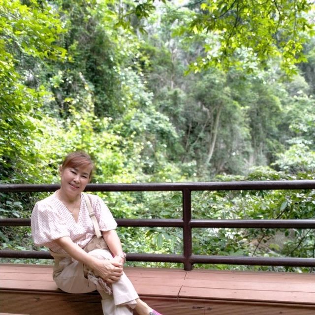 หุบป่าตาด   