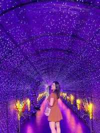 เคยเห็นแต่เมืองนอก รู้ยังไทยก็มีนะ! 