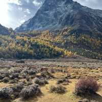 ⌊ Yading Nature Reserve, Daocheng, Sichuan, China⌉