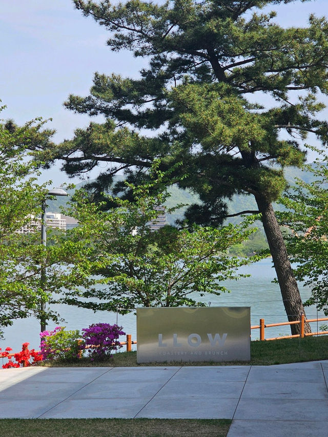 ෆ˃̵͈̑ᴗ˂̵͈̑ෆ 엘로우 카페 경주여행 최애 뷰맛집