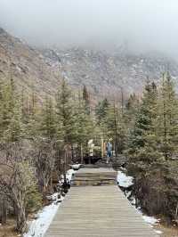 🎊สี่ดรุณี | Shuangqiao Valley