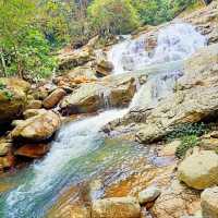 Than to Waterfall Forest Park