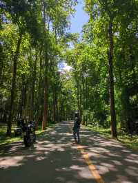 อุทยานแห่งชาติไทรโยคใหญ่