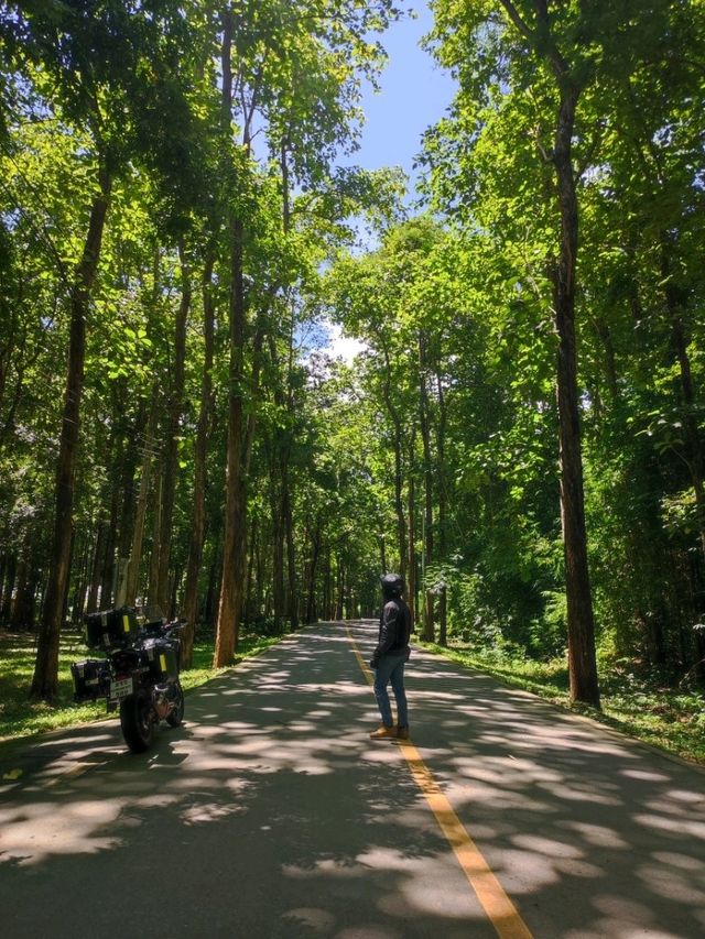 อุทยานแห่งชาติไทรโยคใหญ่