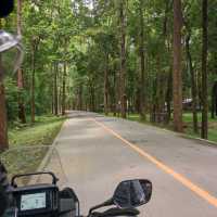 อุทยานแห่งชาติไทรโยคใหญ่