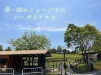 🇯🇵【大阪/堺】堺・緑のミュージアム🌳ハーベストの丘
