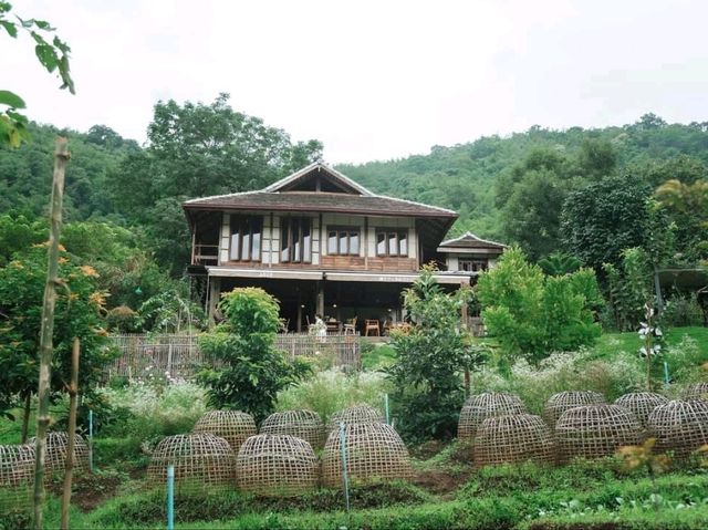 Mori Natural Farm โมริ เนเชอรัลฟาร์ม เชียงใหม่ 