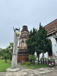 📍วัดจามเทวี อีกหนึ่งสถานที่สำคัญของลำพูน