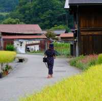 Shirakawa go หน้าร้อนก็สวยไม่แพ้ฤดูอื่นนะคะ