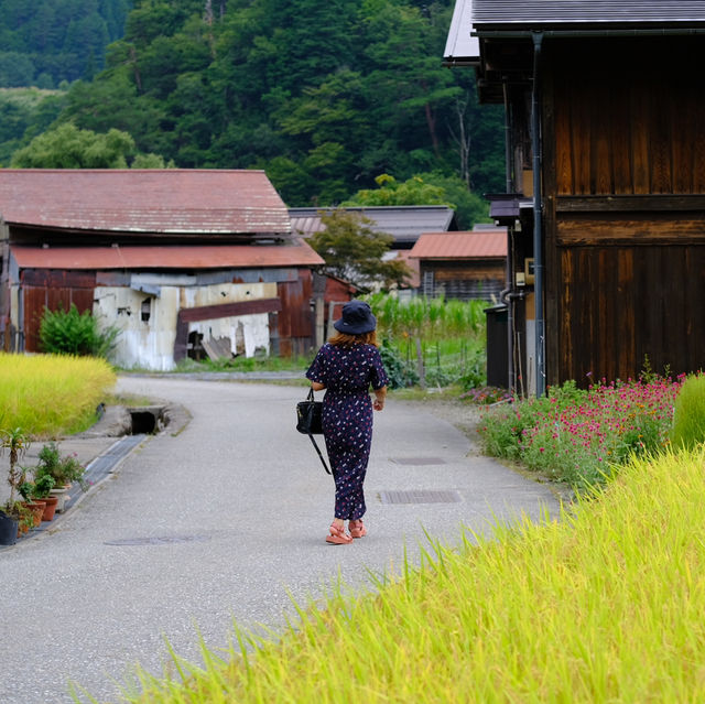 Shirakawa go หน้าร้อนก็สวยไม่แพ้ฤดูอื่นนะคะ