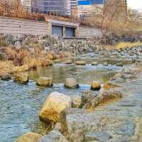 🇰🇷 The Winter Stillness of Cheonggyecheon Stream