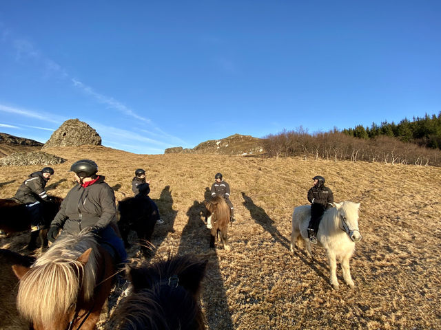 冰島｜策騎短小精悍的冰島馬體驗