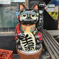 Explore the Charm of Tokoname Manekineko-Dori Street - A Cat Lover's Paradise🐱🏮🌸