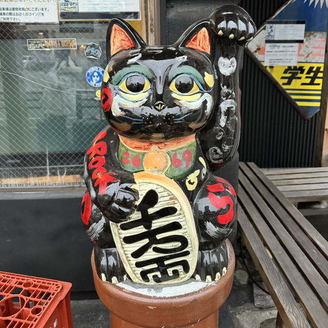 Explore the Charm of Tokoname Manekineko-Dori Street - A Cat Lover's Paradise🐱🏮🌸