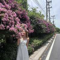 จุดชมวิวพัทยา