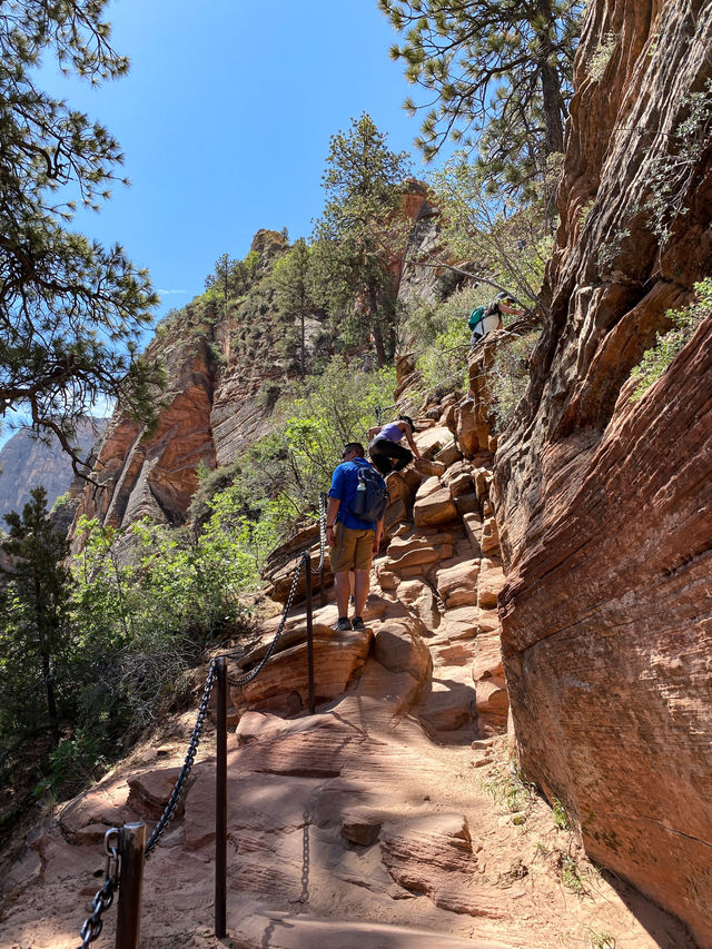 Angels Landing Hike: A Thrilling Climb in Zion National Park