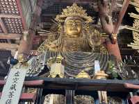 東大寺/ 祈禱天下太平的宏偉寺院