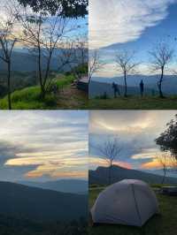 แคมป์ภูชี้ฟ้า | จ.เชียงราย ⛺️🌳☀️💫