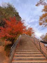 【山梨】富士山見ながら紅葉狩り