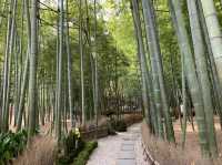 竹寺　鎌倉報国寺