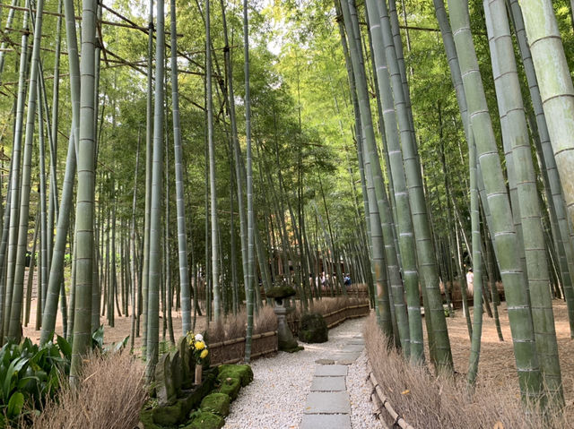 竹寺　鎌倉報国寺