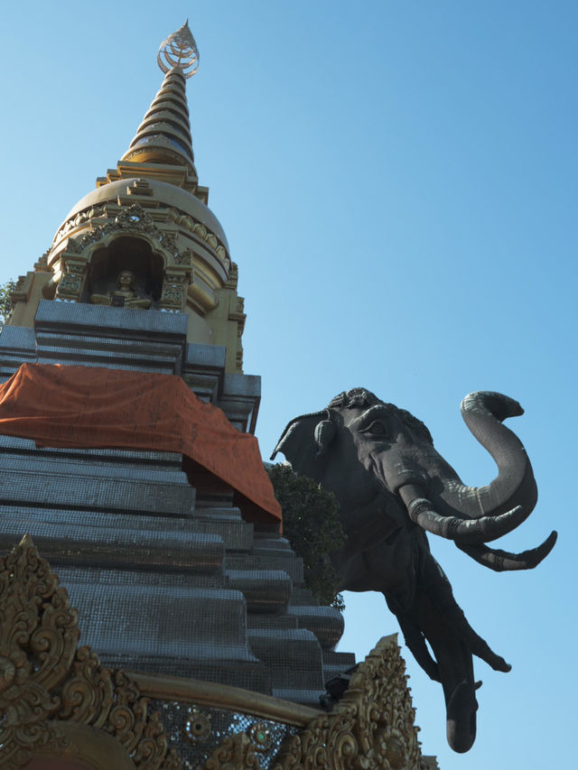 【圧巻】超巨大な象は必見！！【タイ旅行】