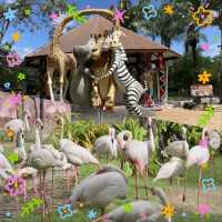 泰國動物園🦏🦒🦛🐘🦘🦥🦙🐅🐒🦓🦓