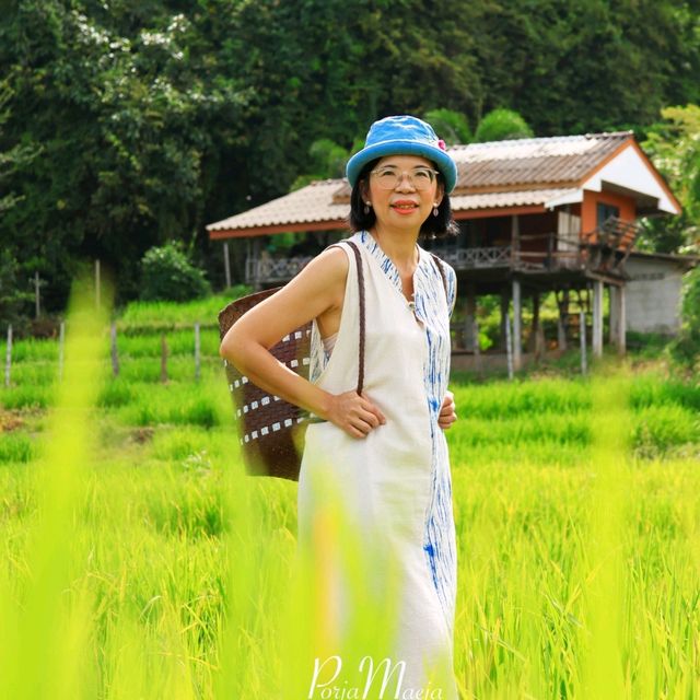 นาขั้นบันได บ้านป่างเปียง เชียงใหม่