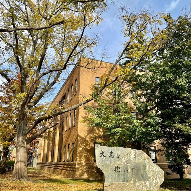 札幌景點｜北海道賞楓、賞銀杏一級戰區—北海道大學