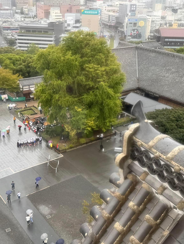 熊本自遊行😬必到行程之選😍熊本城🫡