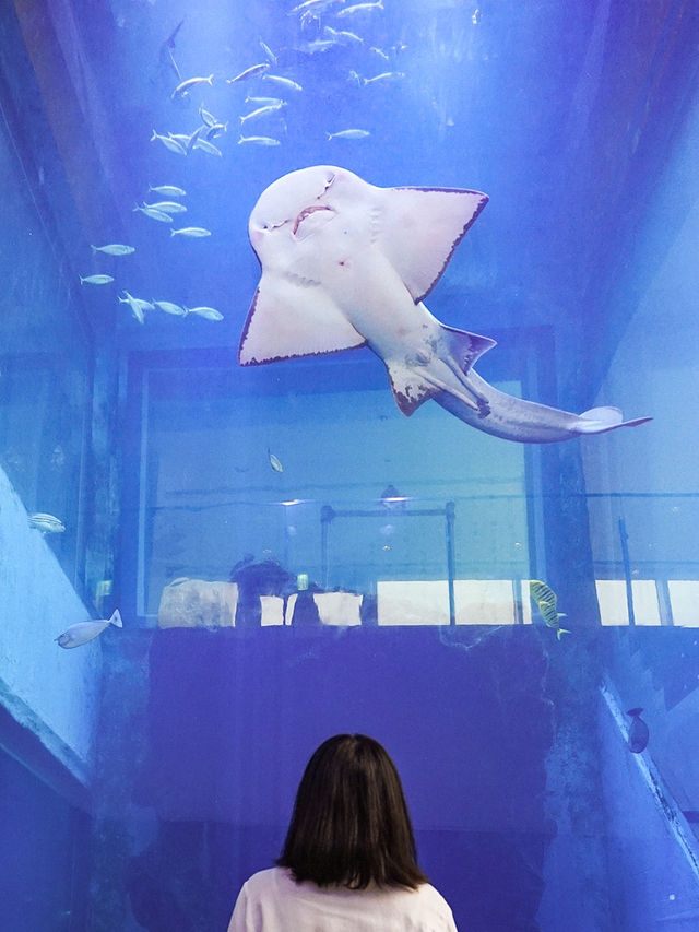 📍 潮境智能海洋館 iOCEAN