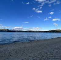 New Zealand most famous Tree: that Wanaka Tree