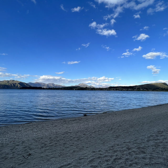 New Zealand most famous Tree: that Wanaka Tree