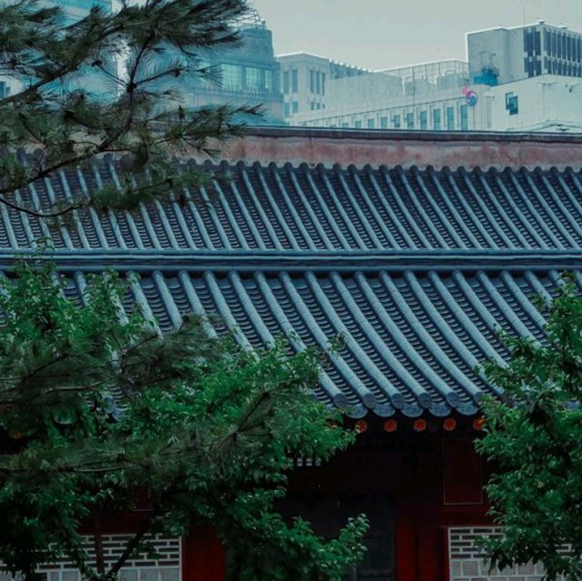 Seoul Escapade: Uncovering the Charm of South Korea's Capital