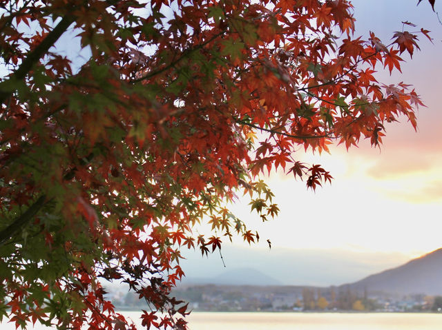 河口湖紅葉季