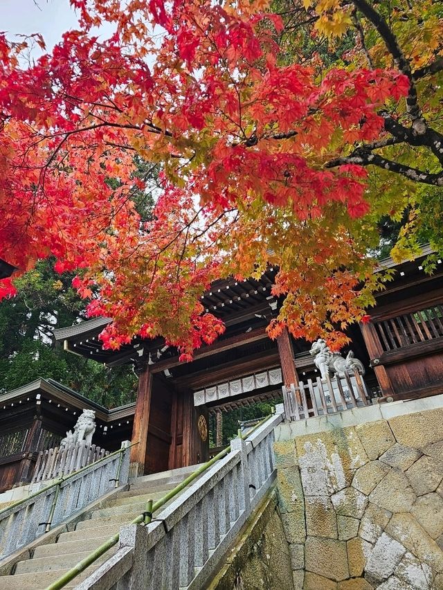 TAKAYAMA เมืองแห่งมนต์เสน่ห์ยุคสมัยเอโดะ 