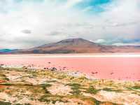 【ボリビア】神秘のピンクの湖✨Laguna Colorada