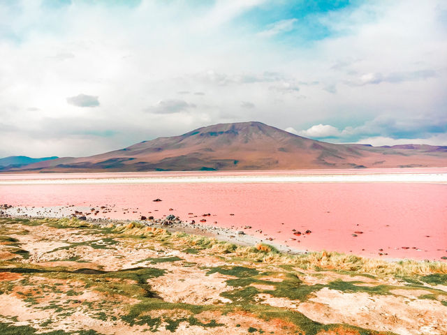 【ボリビア】神秘のピンクの湖✨Laguna Colorada