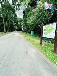 🇸🇬 Berry welcome to Bukit Batok Nature Park