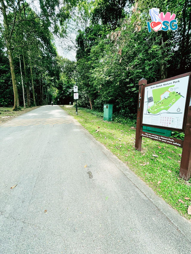 🇸🇬 Berry welcome to Bukit Batok Nature Park