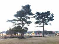 日本🇯🇵輕井澤 - 東京近郊購物天堂 王子outlet 
