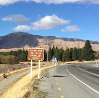 【ニュージーランド🇳🇿】テカポ湖ドライブ！