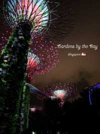 Gardens by the Bay: ชมแสงสียามค่ำคืน ✨️