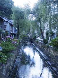 日本靜岡縣：在復古的柳樹林道「佩里之路」散步