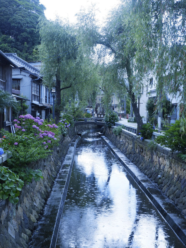 日本靜岡縣：在復古的柳樹林道「佩里之路」散步